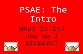 PSAE: The Intro What is it? How do I prepare?. PSAE Basics: What is it? Stands for: Prairie State Achievement Exam It’s 2 days of tests Combines your.