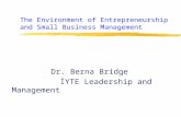 The Environment of Entrepreneurship and Small Business Management Dr. Berna Bridge İYTE Leadership and Management.