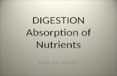 DIGESTION Absorption of Nutrients By Dr. Eric Berg DC.