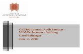 CAUBO Internal Audit Seminar – VFM/Performance Auditing Carol Bellringer June 15, 2008.