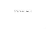 1 TCP/IP Protocol. 2 TCP/IP Vs OSI Model TCP/IP Protocol Developed prior to OSI model. Physical & Data link layers – Specific protocols are not defined.