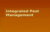 Integrated Pest Management. PEST MANAGEMENT Cultural (Prevention)  Modification of normal plant care  Proper plant selection  Resistant species  Proper.