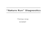 “Nature Run” Diagnostics Thomas Jung ECMWF. Another “Nature Run” A large set of seasonal T L 511L91 integrations has been carried out for many summers.