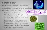 Microbiology Study of microscopic organisms Unicellular, multicellular, or acellular Different fields of study – Virology – study of viruses – Mycology.
