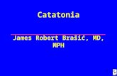 1 Catatonia James Robert Brašić, MD, MPH. 2 Acknowledgements This research is sponsored by The Essel Foundation, the National Alliance for Research on.