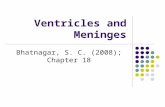 Ventricles and Meninges Bhatnagar, S. C. (2008); Chapter 18.