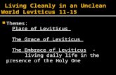 Themes: Place of Leviticus The Grace of Leviticus The Embrace of Leviticus - living daily life in the presence of the Holy One.