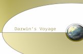 Darwin’s Voyage. Darwin’s Observations As Darwin traveled around the world on a British naval ship, he was amazed by the incredible diversity of the.