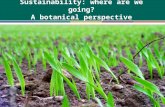 Sustainability: where are we going? A botanical perspective.