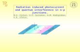 Radiation induced photocurrent and quantum interference in n-p junctions. M.V. Fistul, S.V. Syzranov, A.M. Kadigrobov, K.B. Efetov.