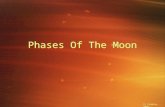 Phases Of The Moon D. Crowley, 2007. Phases Of The Moon To know what causes the phases of the moon.