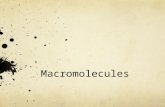 Macromolecules. Read Macromolecules As you read the article, complete the accompanying Biomolecule Chart This chart MUST be glued into your Notebook!