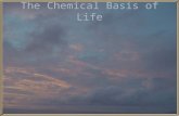 The Chemical Basis of Life. Objectives: Explain the relationship between elements, compounds, atoms, and molecules List the major elements and major minerals.