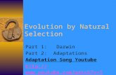 Evolution by Natural Selection Part 1: Darwin Part 2: Adaptations Adaptation Song Youtube  YX8VQIJVpTg.