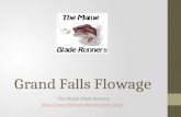 Grand Falls Flowage The Maine Blade Runners