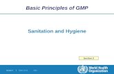 Module 3 | Slide 1 0f 21 2012 Sanitation and Hygiene Basic Principles of GMP Section 3.