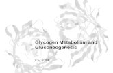 Glycogen Metabolism and Gluconeogenesis CH 339K. Glycolysis (recap) We discussed the reactions which convert glucose to pyruvate: C 6 H 12 O 6 +2 NAD.