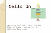 Cells Unit Learning Goal #4: Describe the flow of energy and matter in cellular function.