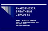 ANAESTHESIA BREATHING CIRCUITS Prof. Pierre Fourie Dept. of Anaesthesiology and Critical Care Kalafong Hospital.