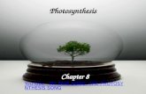 Photosynthesis Chapter 8 Chapter 8 YouTube - MY FAVE SONG: THE PHOTOSYNTHESIS SONG.