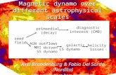 Magnetic dynamo over different astrophysical scales Axel Brandenburg & Fabio Del Sordo (Nordita) with contributions from many others seed field primordial.