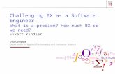 Challenging BX as a Software Engineer: What is a problem? How much BX do we need? Ekkart Kindler.