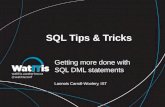 SQL Tips & Tricks Getting more done with SQL DML statements Lannois Carroll-Woolery, IST.