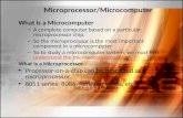 Microprocessor/Microcomputer What is a Microcomputer – A complete computer based on a particular microprocessor chip. – So the microprocessor is the most.