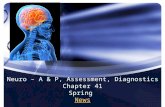 Neuro – A & P, Assessment, Diagnostics Chapter 41 Spring News News.