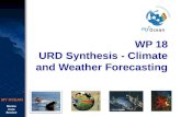 Marine Core Service MY OCEAN WP 18 URD Synthesis - Climate and Weather Forecasting.