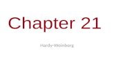Chapter 21 Hardy-Weinberg. Concept 21.2: The Hardy-Weinberg equation can be used to test whether a population is evolving Population: – a localized group.