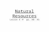 Natural Resources Lesson 4  pp. 40- 45. Natural Resource Something in nature that is valuable to people Used to make food, energy, and raw materials.