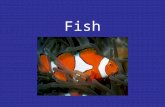 Fish. History First vertebrates –500 m.y.a. Fish are the most economically important marine organism –Fertilizer, feed, protein.