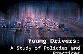 Young Drivers: A Study of Policies and Practices.