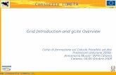 Www.consorzio-cometa.it FESR Consorzio COMETA Grid Introduction and gLite Overview Corso di formazione sul Calcolo Parallelo ad Alte Prestazioni (edizione.