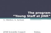 The program “Young Staff at JINR” G. Shirkov, A. Ayriyan JINR Scientific Council Dubna, 17.02.2011.