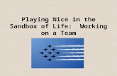 Playing Nice in the Sandbox of Life: Working on a Team.