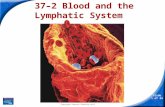 Slide 1 of 34 Copyright Pearson Prentice Hall 37–2 Blood and the Lymphatic System.