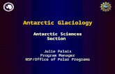 Antarctic Glaciology Julie Palais Program Manager NSF/Office of Polar Programs Antarctic Sciences Section.
