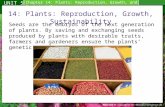 14: Plants: Reproduction, Growth, Sustainability Seeds are the embryos of the next generation of plants. By saving and exchanging seeds produced by plants.
