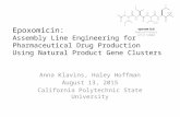 Epoxomicin: Assembly Line Engineering for Pharmaceutical Drug Production Using Natural Product Gene Clusters Anna Klavins, Haley Hoffman August 13, 2015.
