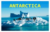 ANTARCTICA 1. LOCATION Antarctica is Earth's southern most continent, containing the geographic South Pole. It is surrounded by the Southern Ocean. 2.