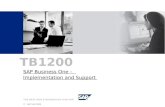 SAP AG 2003 TB1200 THE BEST-RUN E-BUSINESSES RUN SAP ©SAP AG 2003 TB1200 SAP Business One – Implementation and Support.