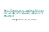 Http:// /education/body/rnai- discovered.html Recipe/chef dna to protein.