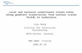 0 Local and nonlocal conditional strain rates along gradient trajectories from various scalar fields in turbulence Lipo Wang Institut für Technische Verbrennung.