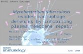 Mycobacterium tuberculosis evades macrophage defenses by inhibiting plasma membrane repair Maziar Divangahi, Minjian Chen, Huixian Gan, Danielle Desjardins,