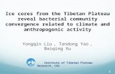 Ice cores from the Tibetan Plateau reveal bacterial community convergence related to climate and anthropogenic activity Yongqin Liu, Tandong Yao, Baiqing.