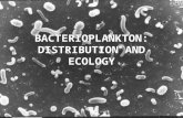BACTERIOPLANKTON: DISTRIBUTION AND ECOLOGY. Role of bacteria in the carbon cycle.
