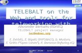 TELEBALT review - 11/11/2002 1 TELEBALT on the Web and tools for teleworking with the Baltic States Alexander Beriozko (EDNES) TELEBALT project manager.