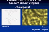 Ivermectin Effects on Caenorhabditis elegans (C.elegans) Moyosore Olagoke Ivermectin C.elegans